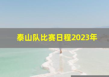 泰山队比赛日程2023年