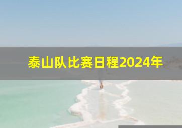 泰山队比赛日程2024年