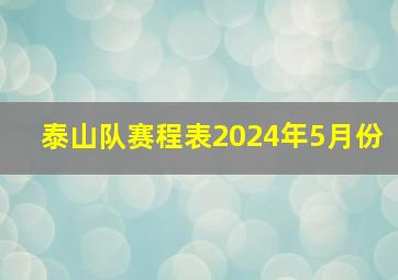 泰山队赛程表2024年5月份