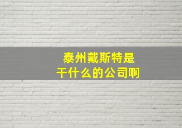 泰州戴斯特是干什么的公司啊