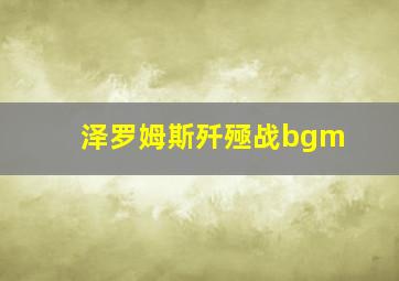 泽罗姆斯歼殛战bgm