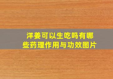 洋姜可以生吃吗有哪些药理作用与功效图片