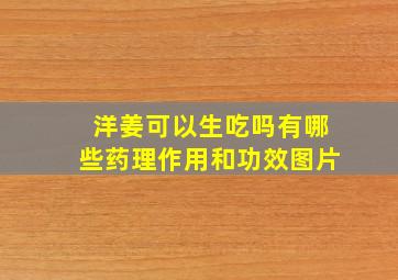 洋姜可以生吃吗有哪些药理作用和功效图片