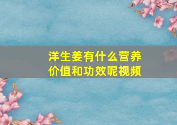 洋生姜有什么营养价值和功效呢视频