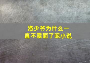 洛少爷为什么一直不露面了呢小说