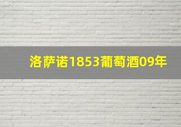 洛萨诺1853葡萄酒09年