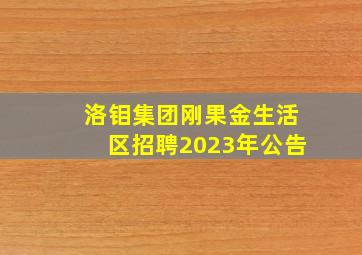 洛钼集团刚果金生活区招聘2023年公告