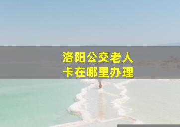 洛阳公交老人卡在哪里办理