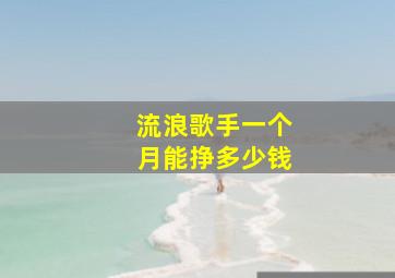 流浪歌手一个月能挣多少钱