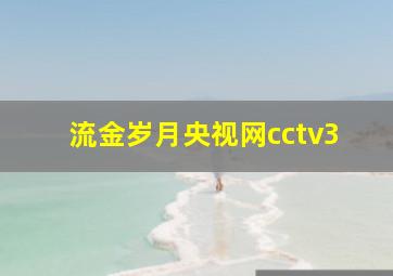 流金岁月央视网cctv3