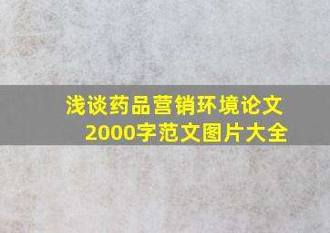 浅谈药品营销环境论文2000字范文图片大全