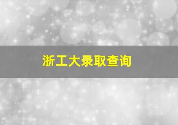 浙工大录取查询