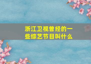 浙江卫视曾经的一些综艺节目叫什么