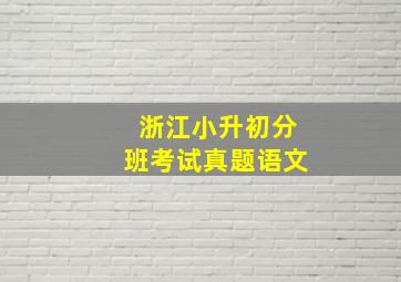 浙江小升初分班考试真题语文