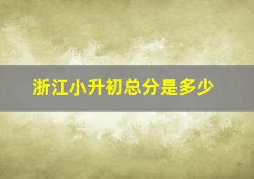 浙江小升初总分是多少