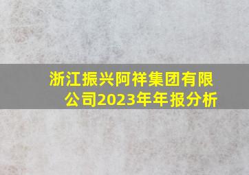 浙江振兴阿祥集团有限公司2023年年报分析