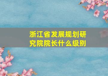 浙江省发展规划研究院院长什么级别