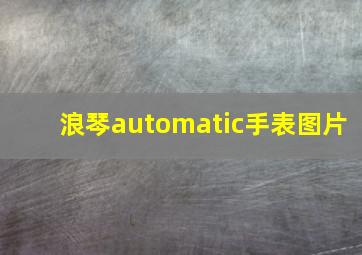 浪琴automatic手表图片