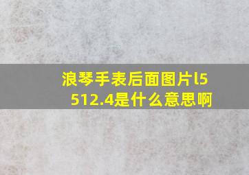 浪琴手表后面图片l5512.4是什么意思啊