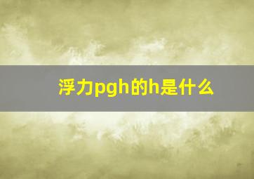 浮力pgh的h是什么