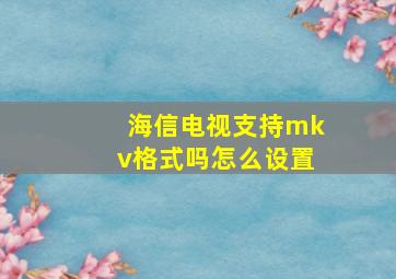 海信电视支持mkv格式吗怎么设置