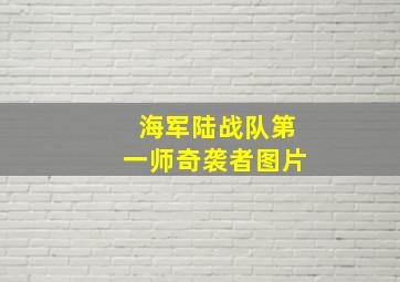 海军陆战队第一师奇袭者图片