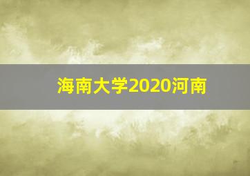 海南大学2020河南