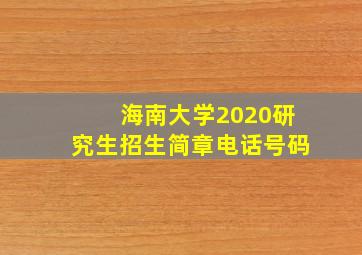 海南大学2020研究生招生简章电话号码