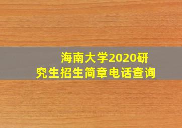 海南大学2020研究生招生简章电话查询