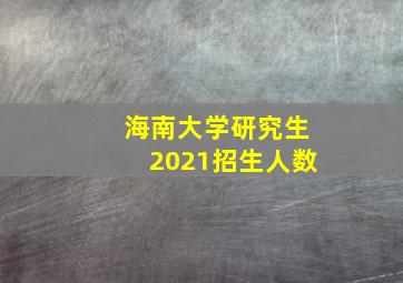 海南大学研究生2021招生人数