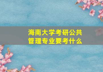 海南大学考研公共管理专业要考什么