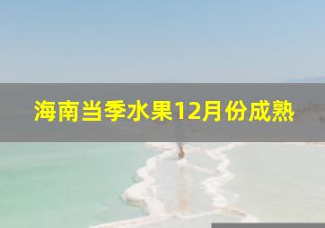 海南当季水果12月份成熟