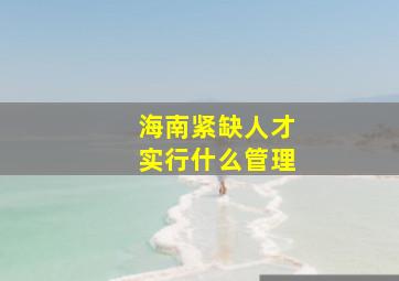 海南紧缺人才实行什么管理