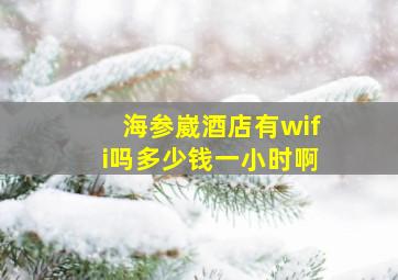 海参崴酒店有wifi吗多少钱一小时啊