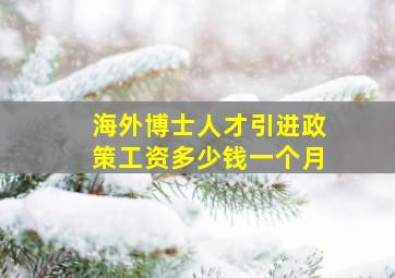 海外博士人才引进政策工资多少钱一个月