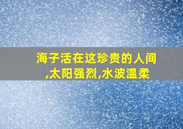 海子活在这珍贵的人间,太阳强烈,水波温柔