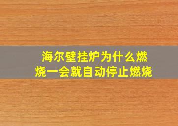 海尔壁挂炉为什么燃烧一会就自动停止燃烧