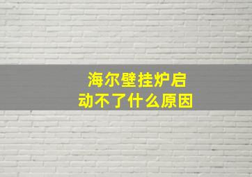 海尔壁挂炉启动不了什么原因