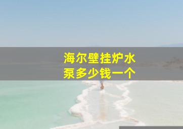 海尔壁挂炉水泵多少钱一个