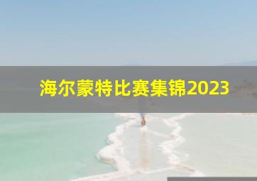 海尔蒙特比赛集锦2023