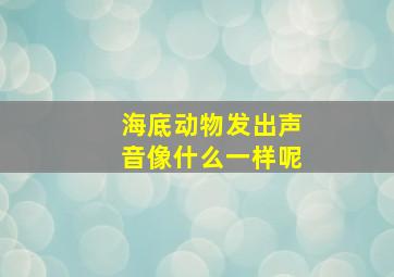 海底动物发出声音像什么一样呢