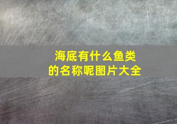 海底有什么鱼类的名称呢图片大全