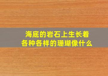 海底的岩石上生长着各种各样的珊瑚像什么