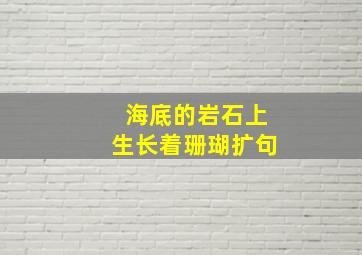 海底的岩石上生长着珊瑚扩句