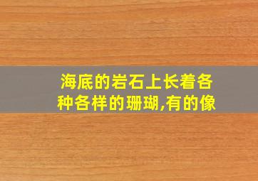 海底的岩石上长着各种各样的珊瑚,有的像