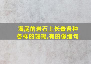 海底的岩石上长着各种各样的珊瑚,有的像缩句