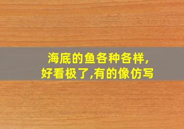 海底的鱼各种各样,好看极了,有的像仿写