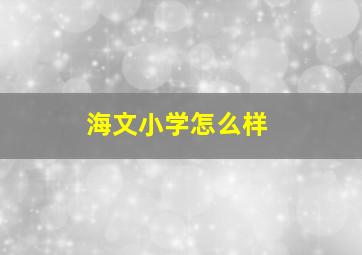 海文小学怎么样