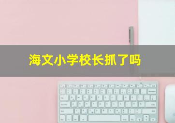 海文小学校长抓了吗