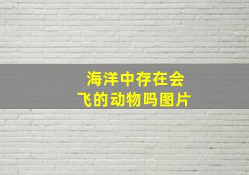 海洋中存在会飞的动物吗图片